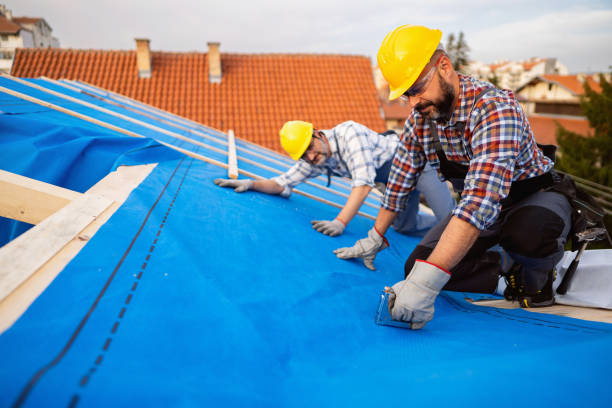 Roof Moss and Algae Removal